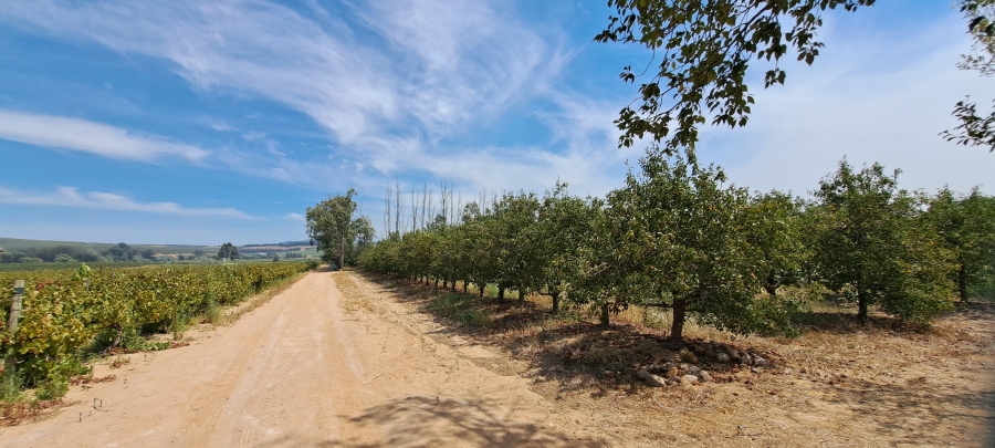 3 Bedroom Property for Sale in Wellington Rural Western Cape